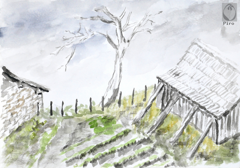 watercolours - acquerello di Piro